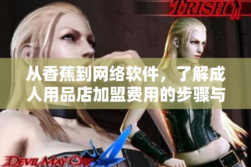 从香蕉到网络软件，了解成人用品店加盟费用的步骤与思考