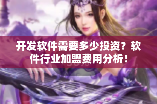 开发软件需要多少投资？软件行业加盟费用分析！