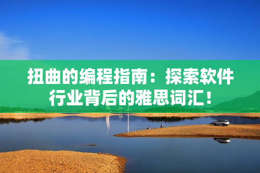 扭曲的编程指南：探索软件行业背后的雅思词汇！