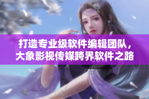 打造专业级软件编辑团队，大象影视传媒跨界软件之路