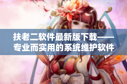 扶老二软件最新版下载——专业而实用的系统维护软件