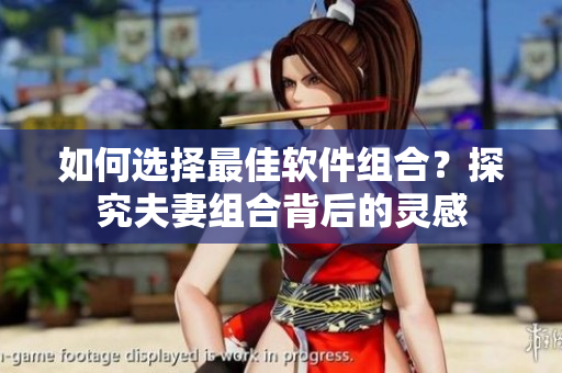 如何选择最佳软件组合？探究夫妻组合背后的灵感