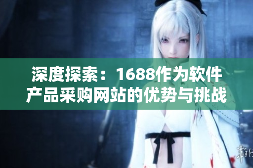 深度探索：1688作为软件产品采购网站的优势与挑战