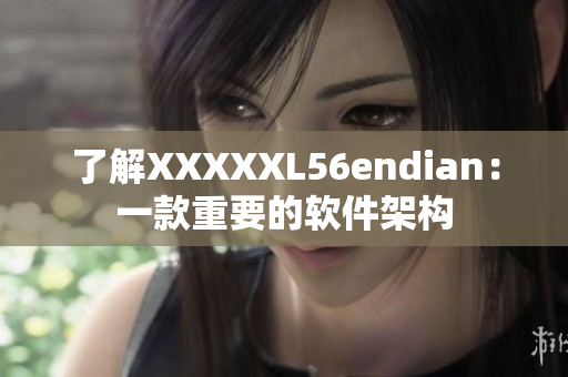 了解XXXXXL56endian：一款重要的软件架构