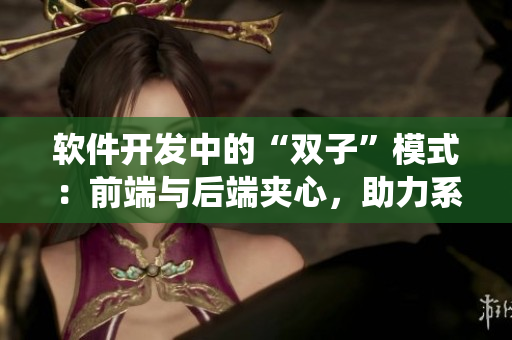 软件开发中的“双子”模式：前端与后端夹心，助力系统构建