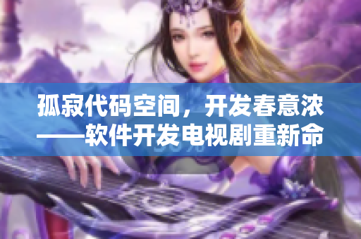 孤寂代码空间，开发春意浓——软件开发电视剧重新命名