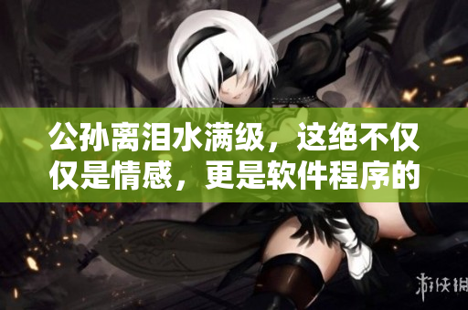 公孙离泪水满级，这绝不仅仅是情感，更是软件程序的长足进阶。