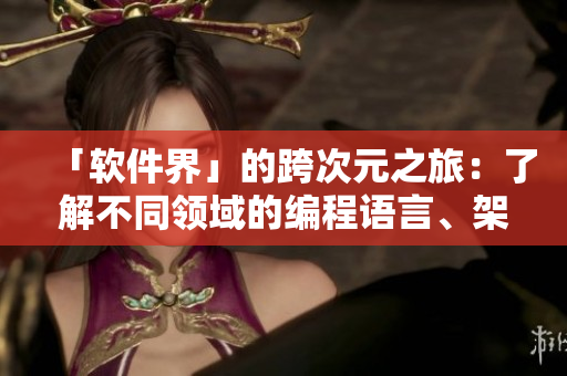 「软件界」的跨次元之旅：了解不同领域的编程语言、架构和创新优化