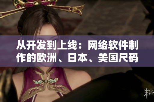 从开发到上线：网络软件制作的欧洲、日本、美国尺码专线