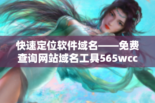 快速定位软件域名——免费查询网站域名工具565wcc