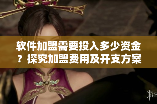 软件加盟需要投入多少资金？探究加盟费用及开支方案