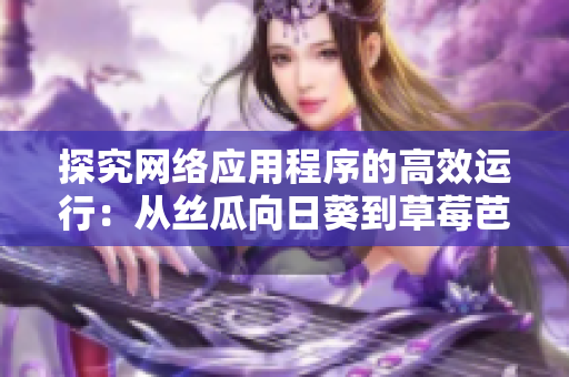 探究网络应用程序的高效运行：从丝瓜向日葵到草莓芭乐黄瓜的启示