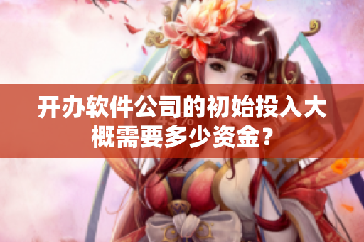 开办软件公司的初始投入大概需要多少资金？