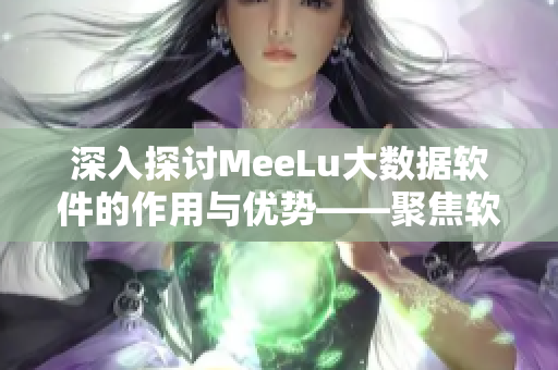 深入探讨MeeLu大数据软件的作用与优势——聚焦软件实践案例