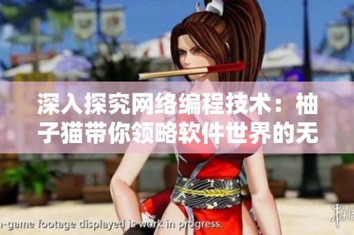 深入探究网络编程技术：柚子猫带你领略软件世界的无限可能