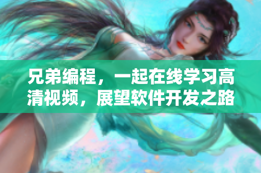 兄弟编程，一起在线学习高清视频，展望软件开发之路