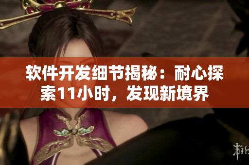 软件开发细节揭秘：耐心探索11小时，发现新境界