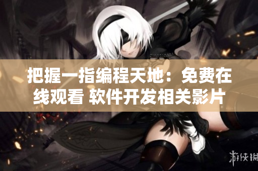 把握一指编程天地：免费在线观看 软件开发相关影片