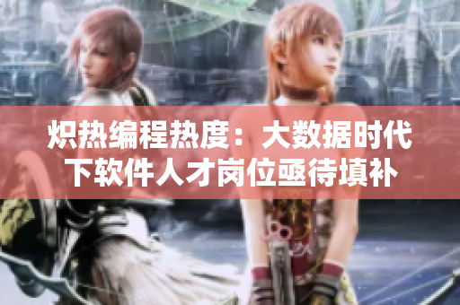 炽热编程热度：大数据时代下软件人才岗位亟待填补