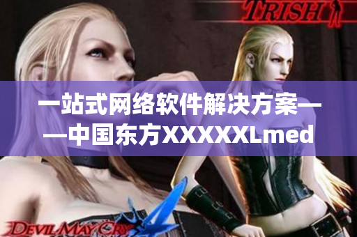 一站式网络软件解决方案——中国东方XXXXXLmedjyf