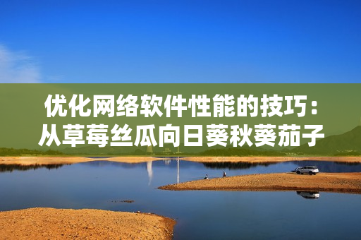 优化网络软件性能的技巧：从草莓丝瓜向日葵秋葵茄子学习