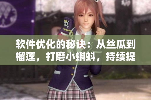 软件优化的秘诀：从丝瓜到榴莲，打磨小蝌蚪，持续提升樱桃般的用户体验