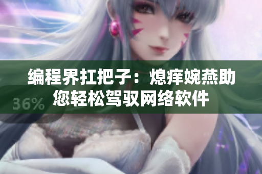编程界扛把子：熄痒婉燕助您轻松驾驭网络软件