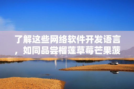 了解这些网络软件开发语言，如同品尝榴莲草莓芒果菠萝香蕉一般丰富多彩
