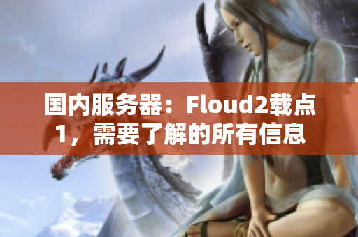 国内服务器：Floud2载点1，需要了解的所有信息