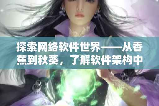 探索网络软件世界——从香蕉到秋葵，了解软件架构中各种组件的重要性