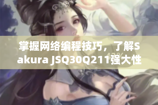 掌握网络编程技巧，了解Sakura JSQ30Q211强大性能