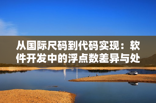 从国际尺码到代码实现：软件开发中的浮点数差异与处理方法