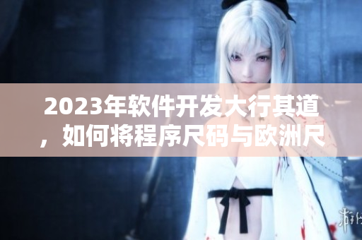 2023年软件开发大行其道，如何将程序尺码与欧洲尺码表进行对比？