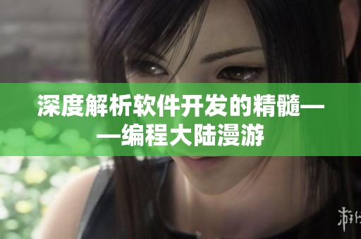 深度解析软件开发的精髓——编程大陆漫游