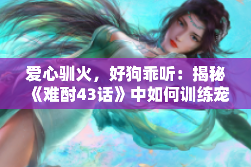爱心驯火，好狗乖听：揭秘《难酎43话》中如何训练宠物犬