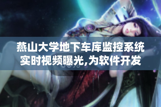 燕山大学地下车库监控系统实时视频曝光,为软件开发者带来新的创作灵感