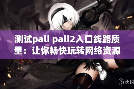 测试pali pali2入口线路质量：让你畅快玩转网络资源