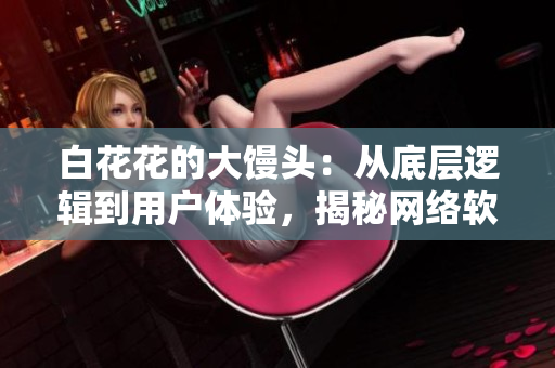 白花花的大馒头：从底层逻辑到用户体验，揭秘网络软件的技术奥秘