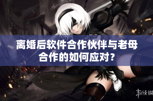 离婚后软件合作伙伴与老母合作的如何应对？