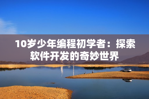 10岁少年编程初学者：探索软件开发的奇妙世界