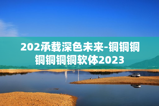 202承载深色未来-铜铜铜铜铜铜铜软体2023