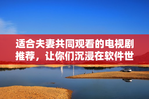 适合夫妻共同观看的电视剧推荐，让你们沉浸在软件世界的魅力中