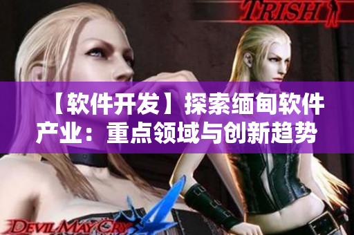 【软件开发】探索缅甸软件产业：重点领域与创新趋势