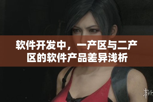 软件开发中，一产区与二产区的软件产品差异浅析