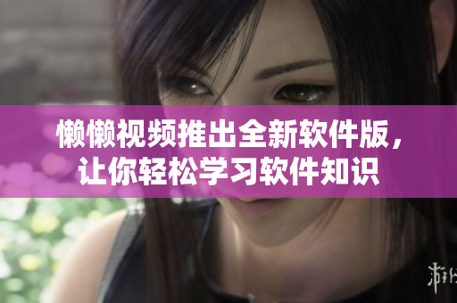 懒懒视频推出全新软件版，让你轻松学习软件知识