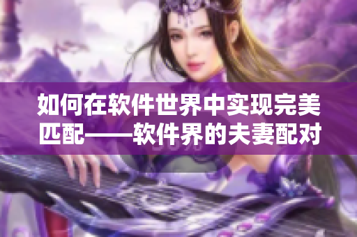 如何在软件世界中实现完美匹配——软件界的夫妻配对法则