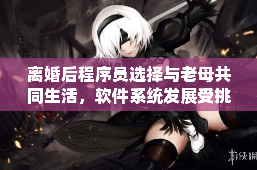 离婚后程序员选择与老母共同生活，软件系统发展受挑战