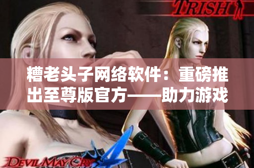 糟老头子网络软件：重磅推出至尊版官方——助力游戏开发创新！