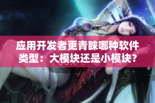 应用开发者更青睐哪种软件类型：大模块还是小模块？