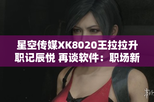 星空传媒XK8020王拉拉升职记辰悦 再谈软件：职场新风貌